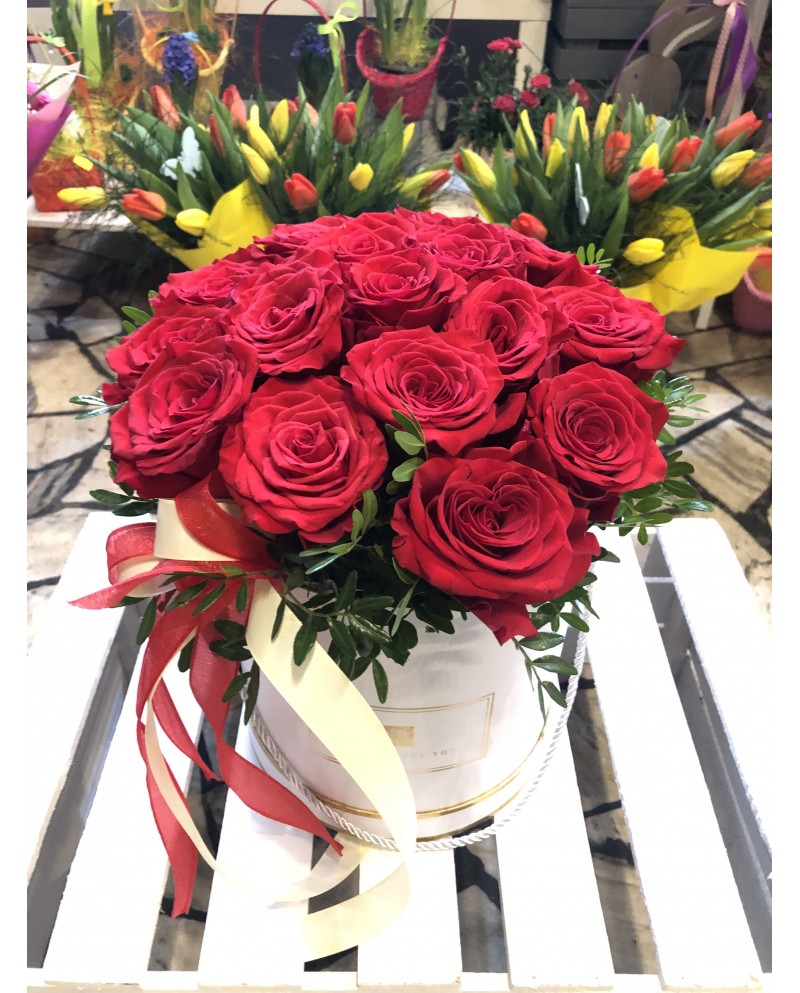 Flower Box 6
