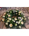 Wieniec 25